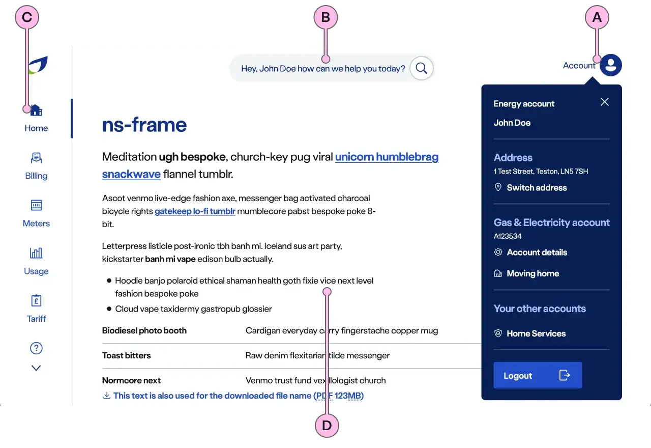 Labelled diagram of ns-frame